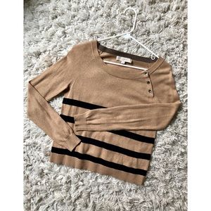 Ann Taylor LOFT tan striped sweater
